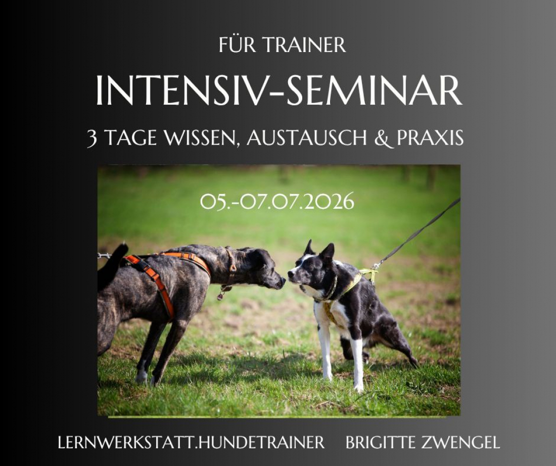 Seminar Hundebegegnungen